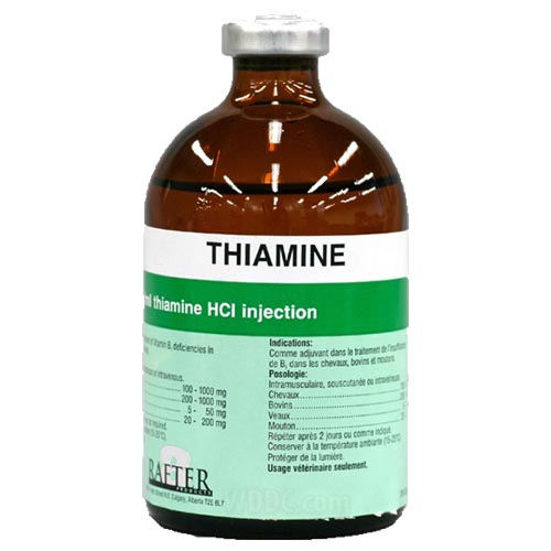 bottle filled with thiamine