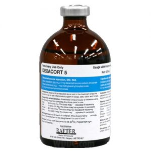bottled filled with dexacort 5