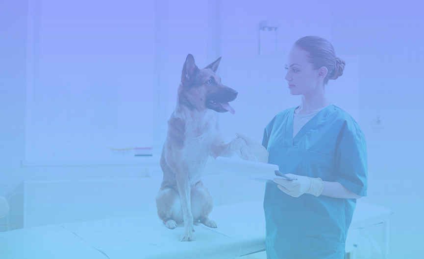 woman and a dog in a clinic